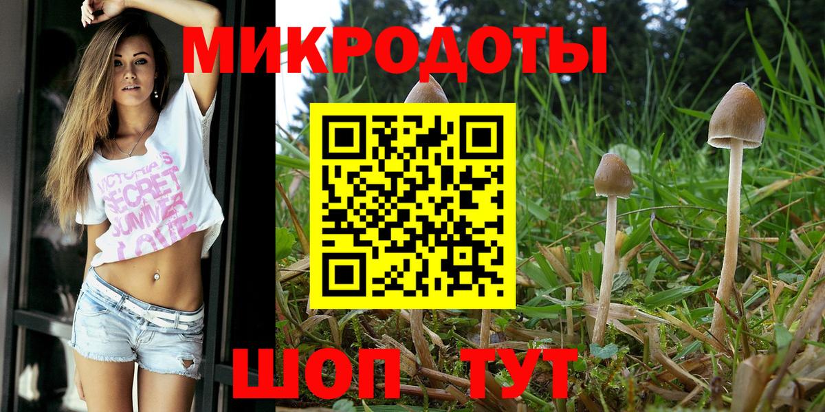 Галлюциногенные грибы Psilocybine cubensis Ейск