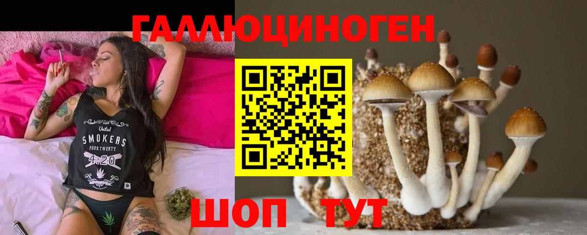 Ейск  Псилоцибиновые грибы MAGIC MUSHROOMS  Вход с VPN 